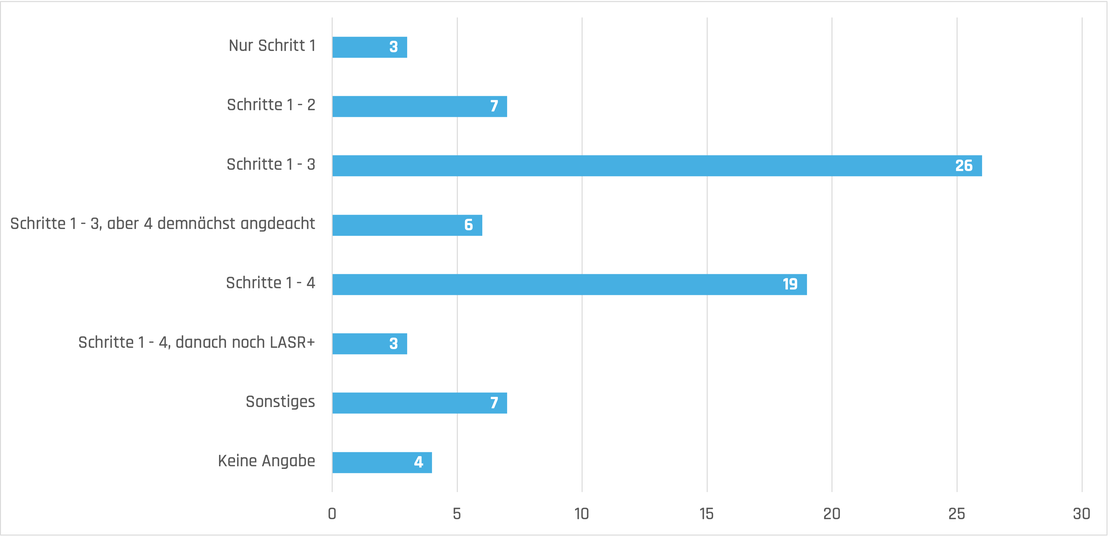 Diagramm LASR-Schritte (Vorgehen)